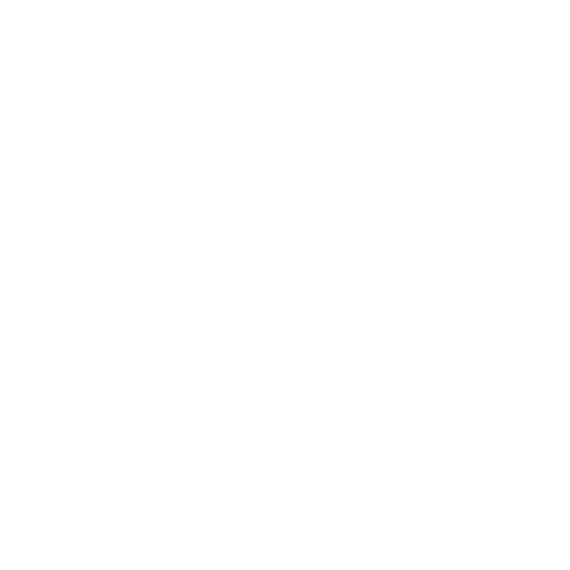 VIEOS FOODS