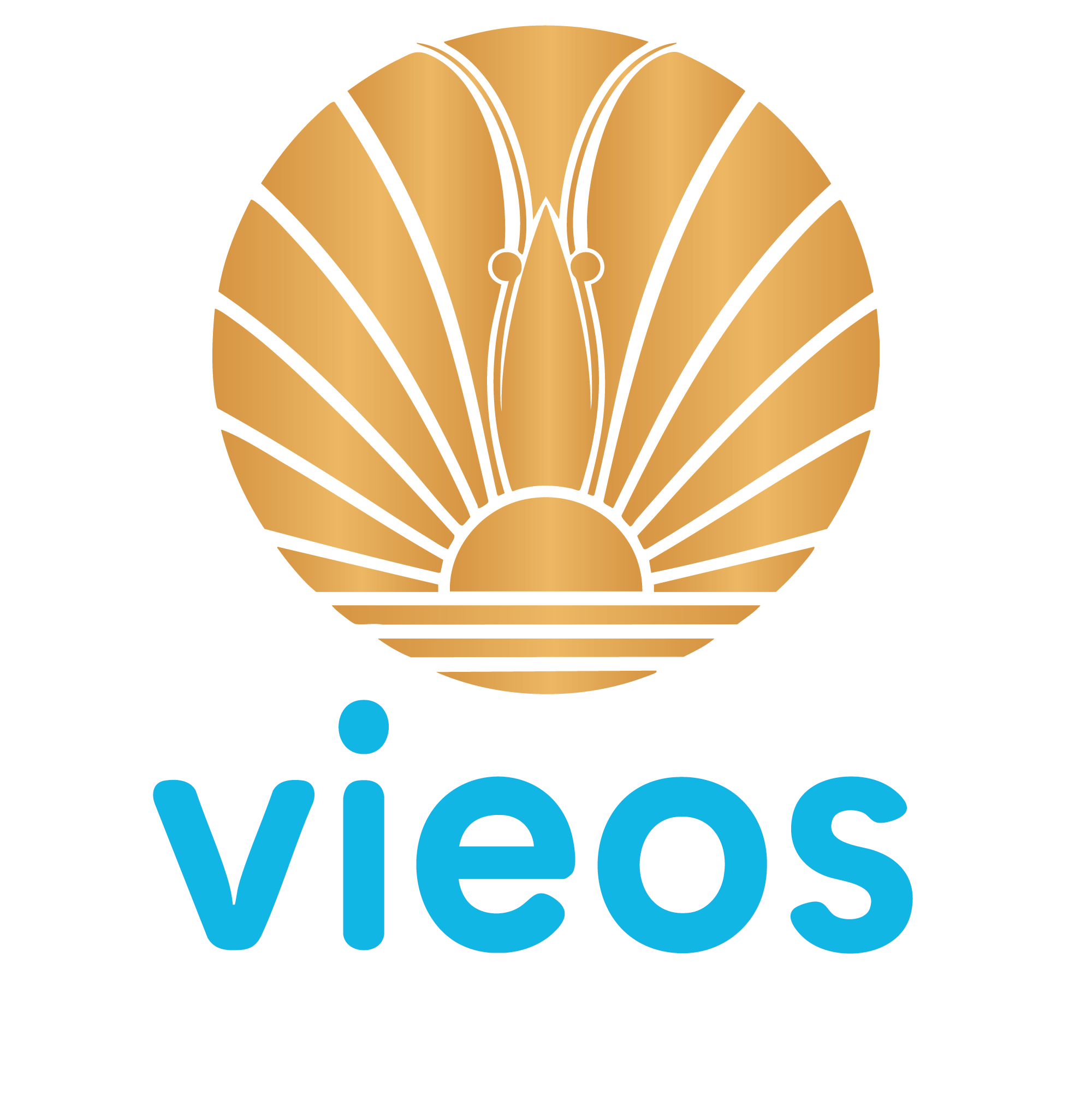 Logo_Vieos